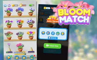 Bloom Match