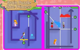 Brain Puzzle Save Princess