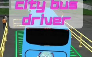 City Bus Driver