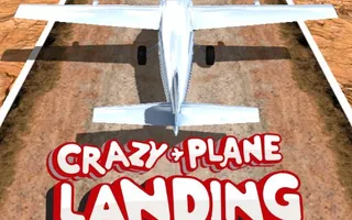 Crazy Plane Landing
