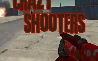 Crazy Shooters