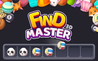 Find Master 3D
