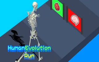 Human Evolution Run