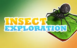 Insect Exploration
