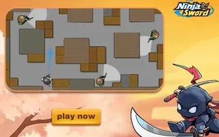 Ninja Sword