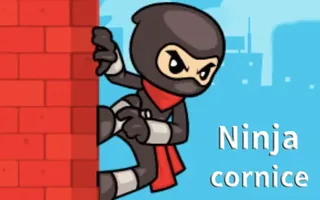Ninja Cornice
