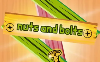 Nuts and Bolts Puzzle