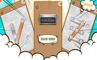 Screw Puzzle