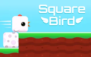 Square Bird