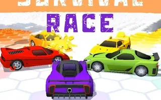 Survival Race